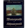 Winterpracht im Schwarzwald