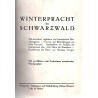 Winterpracht im Schwarzwald