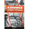 Katowice między wojnami. Miasto i jego sprawy 1922-1939