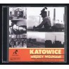 Katowice między wojnami. Miasto i jego sprawy 1922-1939