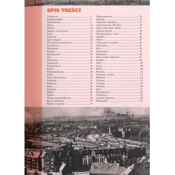 Katowice między wojnami. Miasto i jego sprawy 1922-1939