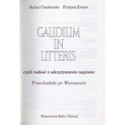 Gaudium in litteris czyli radość z odczytywania napisów. Przechadzki po Warszawie