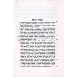 O zasadniczej idei "Kordiana"