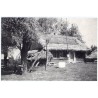 Niepodległa w fotografii Józefa Dańdy