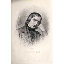 Robert Schumann. Eine Biografie