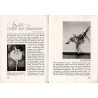 Agfa Photoblätter. R. 37 (1931). Nr 7 (Januar 1931)