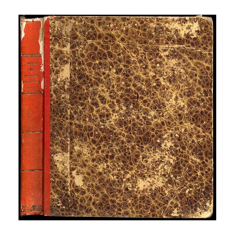 Blätter für literarische Unterhaltung. Jahrgang 1849. B.1. Nr 79 (2.04.) - 182 (31.07.1849)
