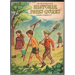 Historia Psiej Górki