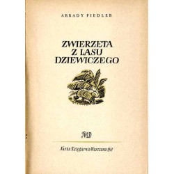Zwierzęta z lasu dziewiczego