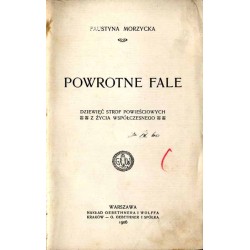 Powrotne fale. Dziewięć strof powieściowych z życia współczesnego
