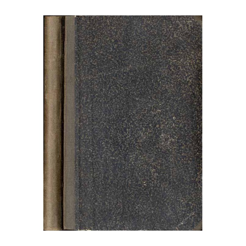 W Alpach i za Alpami. T. 1