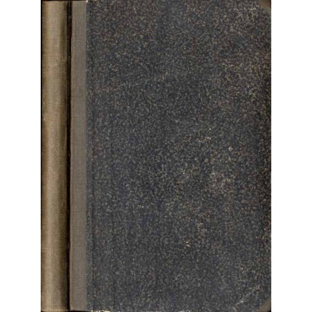 W Alpach i za Alpami. T. 1