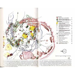 Komunikaty Dendrologiczne. Nr 20 (1992) / Helmunt Rippl: Wskazówki do pielęgnacji parków krajobrazowych Pücklera [Park Mużakowsk