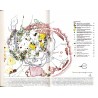 Komunikaty Dendrologiczne. Nr 20 (1992) / Helmunt Rippl: Wskazówki do pielęgnacji parków krajobrazowych Pücklera [Park Mużakowsk