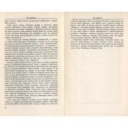 Wokół "Doświadczyńskiego". Antologa romansu i powieści
