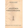 Anatomia kieszonkowa