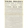 Polska Walcząca - Żołnierz Polski na Obczyźnie. Fighting Poland. Weekly for the Polish Forces. R.6 (1944). Nr 2 (15 stycznia 194