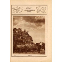 Tęcza. Ilustrowane pismo tygodniowe. R. 2 (1930). Z. 32 (11 sierpnia 1928) / Jadwiga Gottliebówna (Gotliebówna) / Bronisława Ost