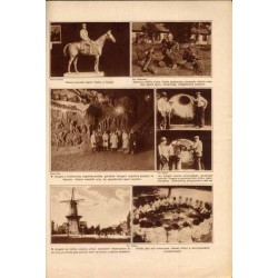 Tęcza. Ilustrowane pismo tygodniowe. R. 2 (1930). Z. 32 (11 sierpnia 1928) / Jadwiga Gottliebówna (Gotliebówna) / Bronisława Ost