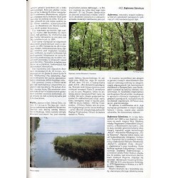 Britannica. Edycja polska. T.8: Co-De