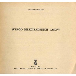 Wśród bieszczadzkich lasów