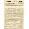Polska Walcząca - Żołnierz polski na obczyźnie. Fighting Poland. Weekly for the Polish Forces. R.3 (1941). Nr 4 (25 stycznia 194