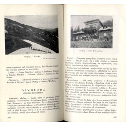 Zdrojowiska i Uzdrowiska Polskie. Przewodnik ilustrowany. [Rocznik 2 (1926)]