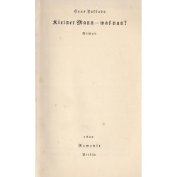 Kleiner Mann - was nun? Roman