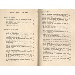Kleiner Mann - was nun? Roman