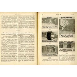 Technik. Czasopismo poświęcone sprawom górnictwa, hutnictwa, przemysłu i budownictwa. R.3 (1 IX 1930) nr 17