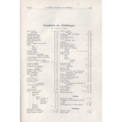 Mitteilungen der Deutschen Dendrologischen Gesellschaft (Jahrbuch) 1927. Nr 38