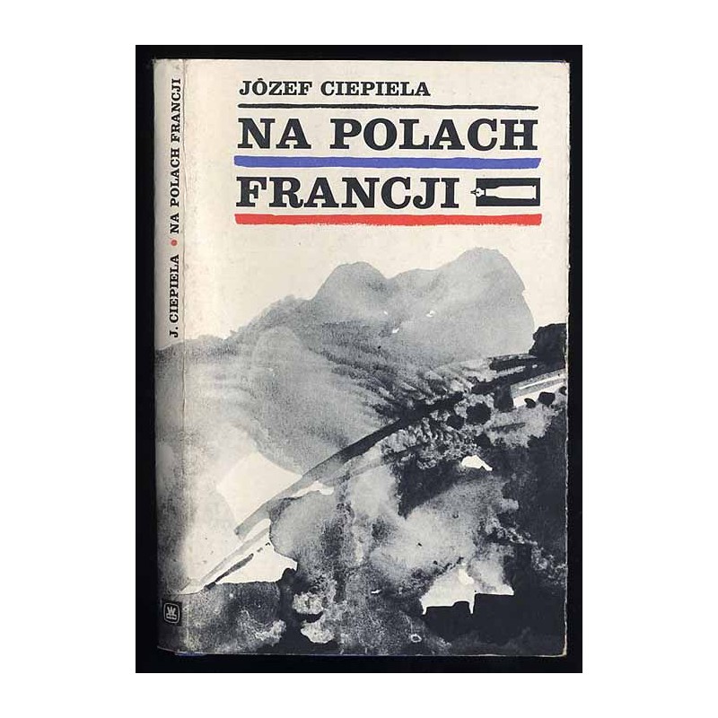 Na polach Francji. Dziennik żołnierza 2 DSP