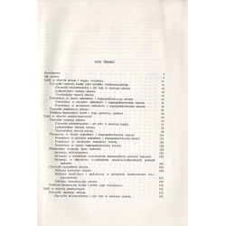 Łódź. Studium monograficzne