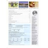 Ak Express. Die deutsche Fachzeitschrift für Ansichtskarten-, Heimat-, Motiv- und Forschungssammler. (2002). Nr 105 (Oktober-Nov