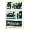 Ilustrowany Kurier Codzienny. Bezpłatny dodatek tygodniowy "Ilustrowanego Kuriera Codziennego" do nr 79. R.3 (1927). Nr 11 (112)