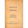 Opole. Przewodnik