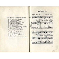 Der katholische Christ in den Hauptzeiten des heiligen Kirchenjahres. Ein Beitrag zur Förderung der katholischen Aktion