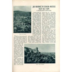 Tęcza. Ilustrowane pismo tygodniowe. R.5 (1931). Z. 38 (19 września 1931) / Jerzy Drobnik / Warszawa Wola i gen. Józef Sowiński