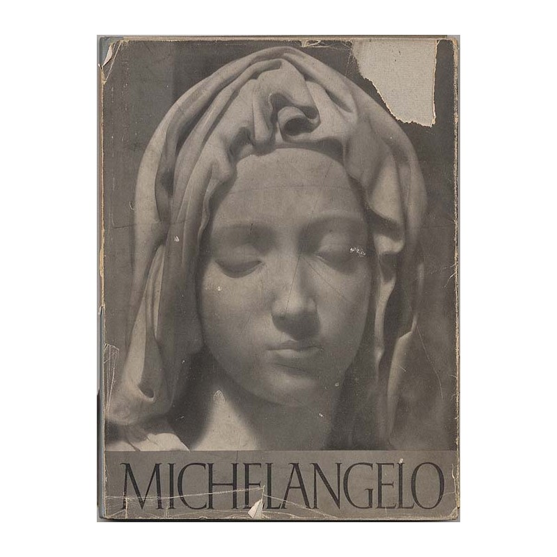 Michelangelo Buonarroti. Die Bildwerke