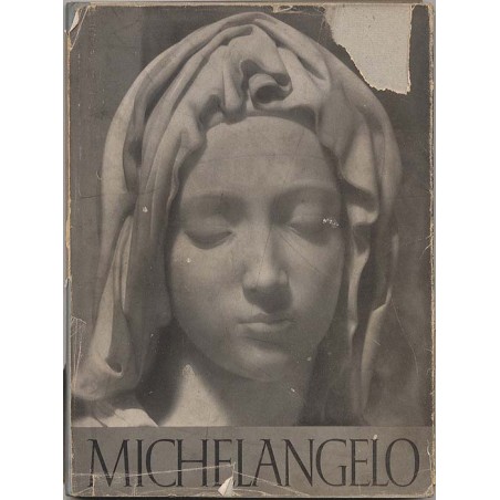 Michelangelo Buonarroti. Die Bildwerke