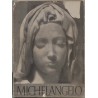 Michelangelo Buonarroti. Die Bildwerke