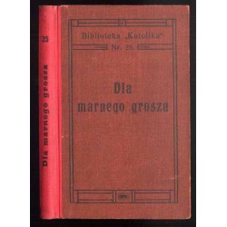 Dla marnego grosza. Powieść