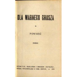 Dla marnego grosza. Powieść