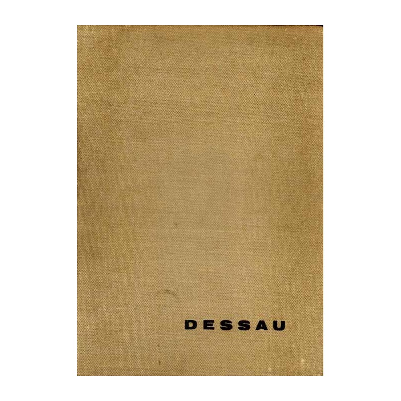 Dessau. Industriestadt an Elbe und Mulde