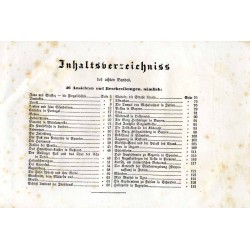 Meyer's Universum oder Abbildung und Beschreibung des Sehenswerthesten und Merkwürdigsten der Natur und Kunst auf der ganzen Erd