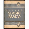 Beskid Śląski i Mały. Tereny narciarskie
