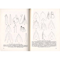 Klucze do oznaczania owadów Polski. Cz.27: Motyle - Lepidoptera. Z.7-8: Heliozelidae, Incurvariidae