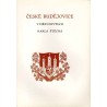 České Budéjovice v dřevorytech Karla Štěcha