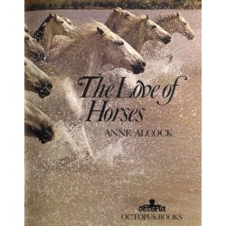 The Love of Horses