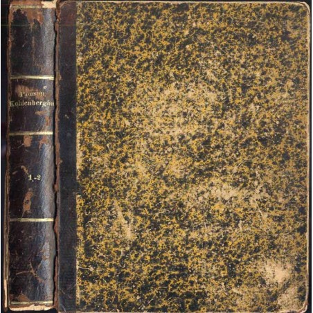 Handbuch des Steinkohlen-Bergbaues oder Darstellung des in den bedeutendsten Steinkohlen-Bergwerke Europa's zur Aufsuchung, Gewi